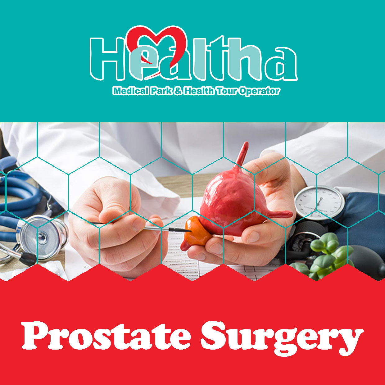 Prostate Diseases Treatment » Healtha - Medical Tourism In Iran